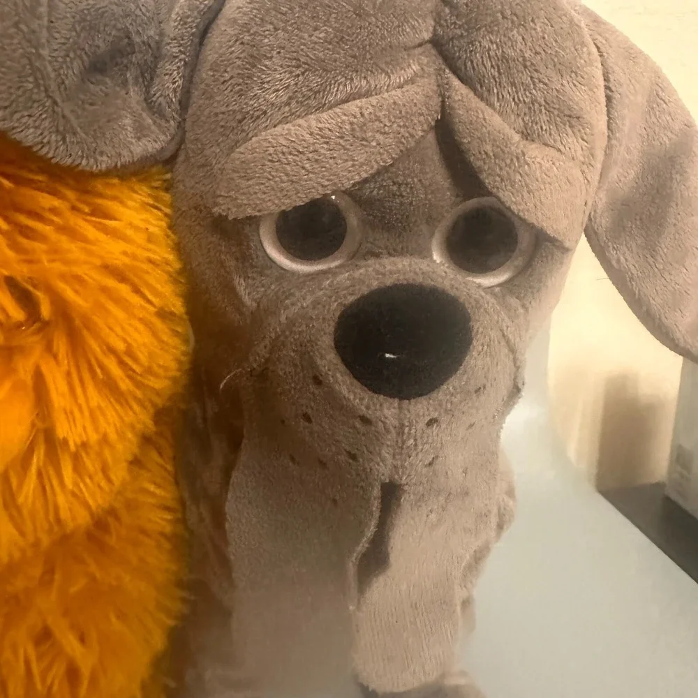 Harry Potter Crookshanks Cat and Crup Dog Plush Set Wizarding World Orange Grey